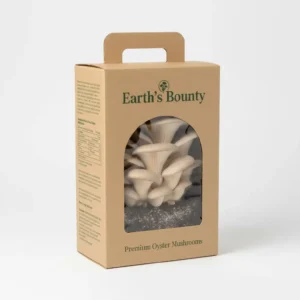 Mushrooms Packaging Boxes